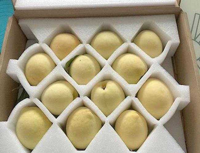 珍珠棉卷材服务为先多图